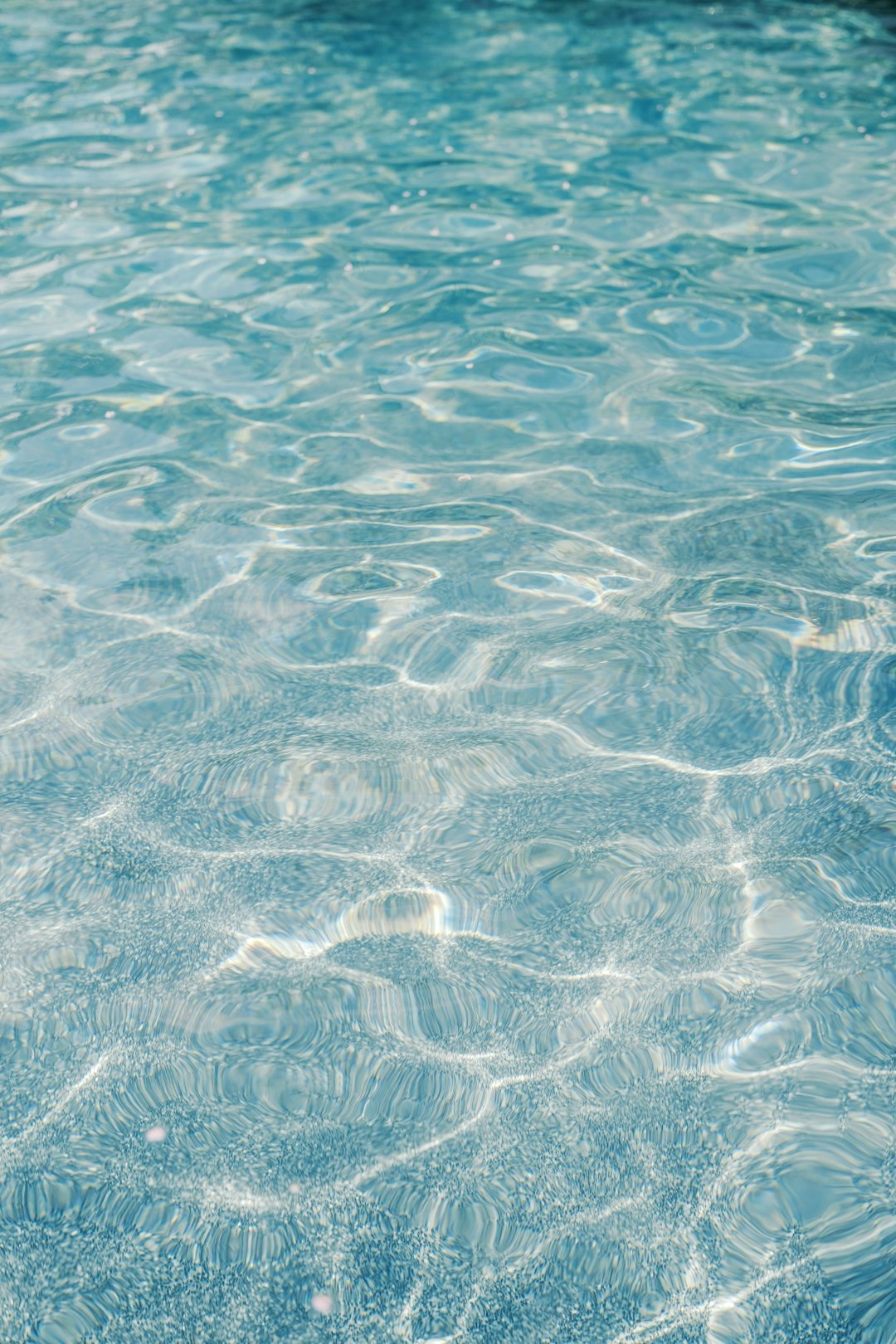 Sparkling sunlight on gentle blue water